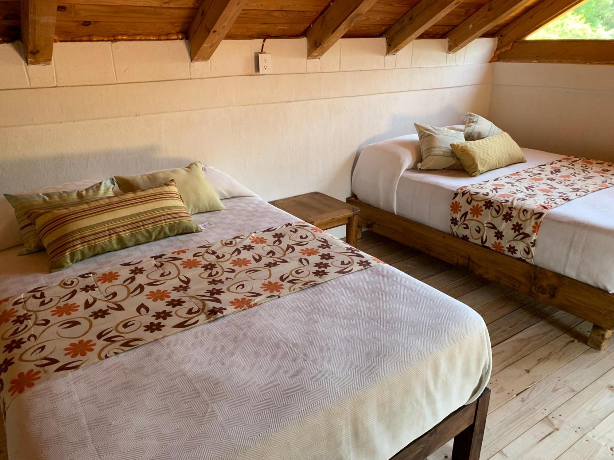 Cabanas Los Cactus 2 Huasca de Ocampo Luaran gambar